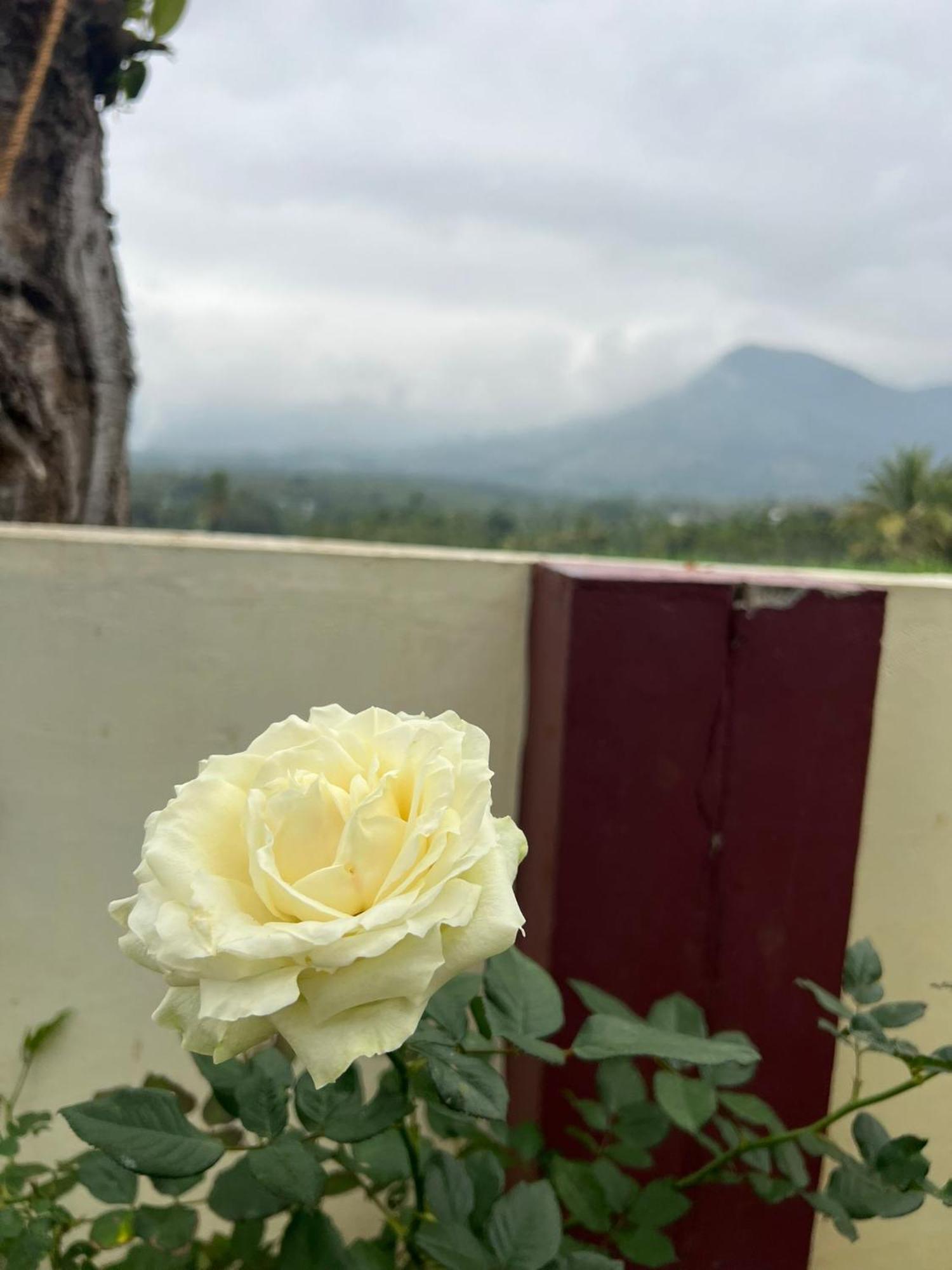 Kadampil Bliss Villa Maraiyur ภายนอก รูปภาพ